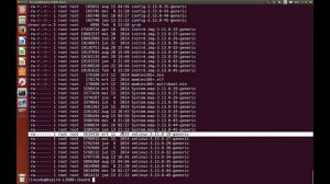 How to remove an old Linux kernel