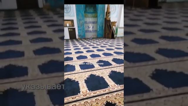 Мечеть внутри. Как туда попасть. Санкт-Петербург. #мечеть #намаз #санктпетербург #религия смотреть онлайн