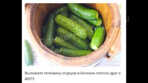 ЗАСОЛКА ОГУРЦОВ В БОЧКЕ НА ЗИМУ ХОЛОДНЫМ СПОСОБОМ. ПОШАГОВЫЙ РЕЦЕПТ