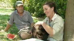 Казусы при съемках обезьян