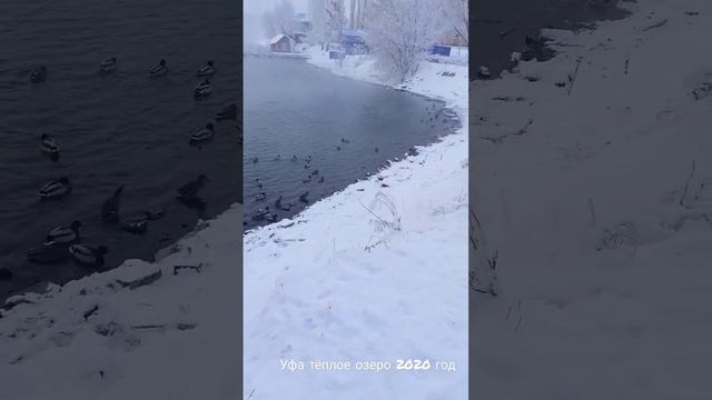 уфа тёплое озеро 2022год