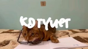 анонс котинет с канала Карусель 2 2023 зима 1 декабря-февраля