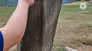 Чуйский тракт - единственная дорога России, вошедшая в 10-ку самых красивых дорог мира! ?