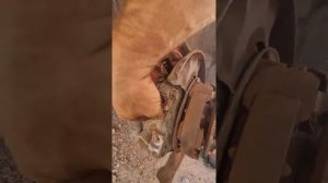 двухпоршневые задние суппорта на Тойота Альфард спустя три года.