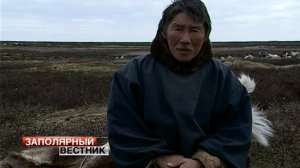 Оленеводы НАО подвели итоги отельной компании