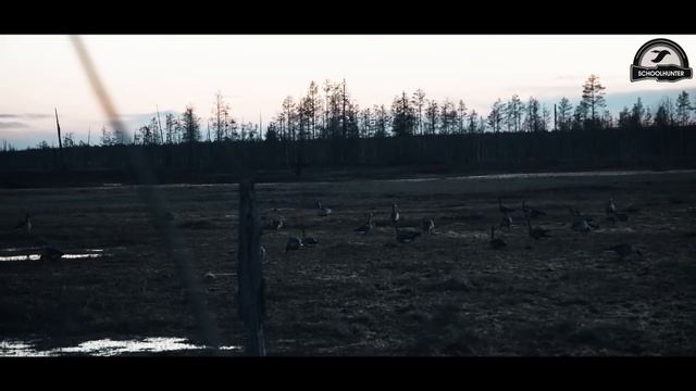 Охота на гуся. Долгий путь охотника ... смотреть онлайн