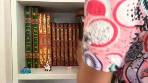 Обзор моих книг «Коты-воители»/КВшница Ксю/КВ(коты-воители)