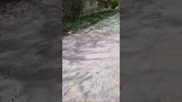 Дорога в Южной Озереевке превратилась в квест на выживание
