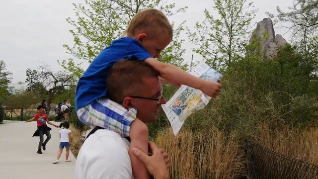 Зоопарк Париж смотреть онлайн