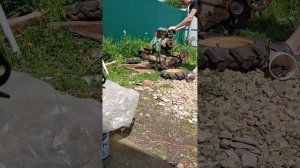 запуск даигателя умз 5в мотоблок урал