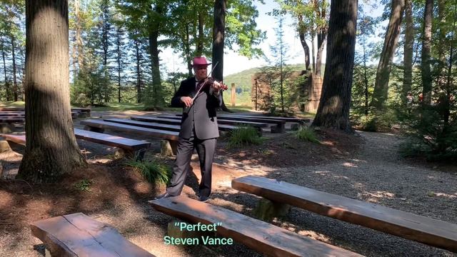 “Perfect” Electric Violinist Steven Vance смотреть онлайн