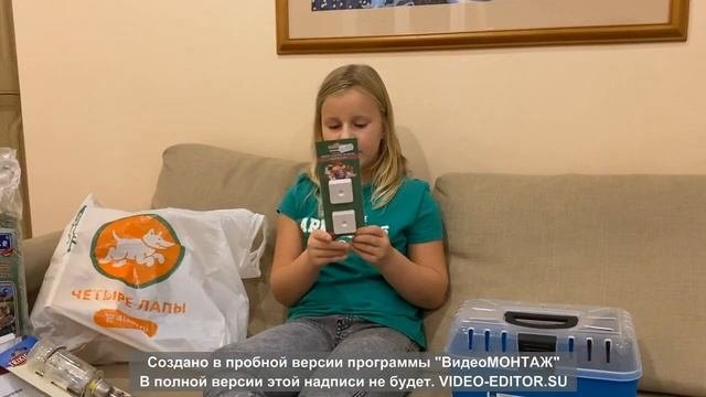 Впервые купили шиншиллу!