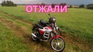 ДПС забрали Альфу на штрафстоянку и экспертизу | Впаяли 15 000 штрафа за отсутствие ВУ
