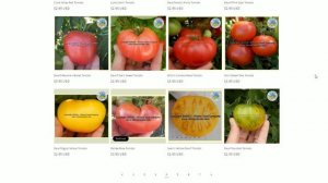 ТОМАТЫ-ГНОМЫ / Откуда и зачем?