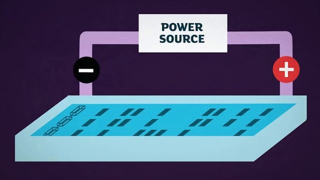 KS3 Activate 3 Kerboodle: Explaining DNA fingerprinting смотреть онлайн
