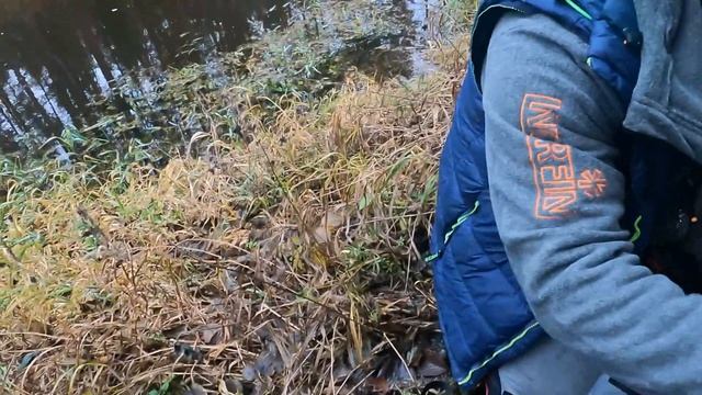 Ловля налима в ноябре на закидушки. Река Вилия в осеннем пейзаже смотреть онлайн