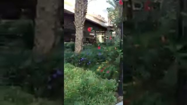 Какой отель выбрать в Турции? Отдых 🌴 в шикарном отеле Kirman Belazur Resort & SPA 5* Турции Белек