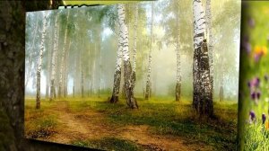 Лечебные свойства листьев березы