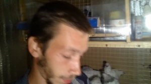 Насморк у кур!!!караул!!!!!