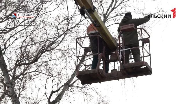 Спил деревьев в Туле, Щекино, Тульской области смотреть онлайн