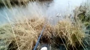 Рыбалка На Реке Баган В Камышах