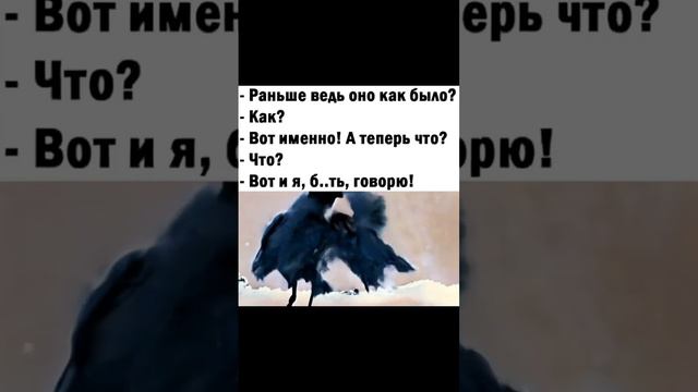 Живые мемы