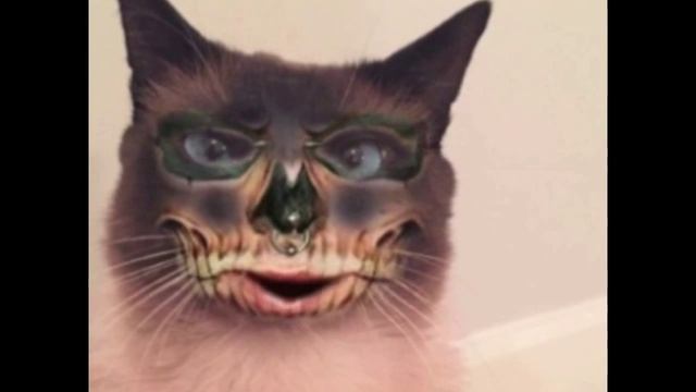 ПОЗДРАВЛЯЮ ТЕБЯ С ХЭЛЛОУИНОМ ❣