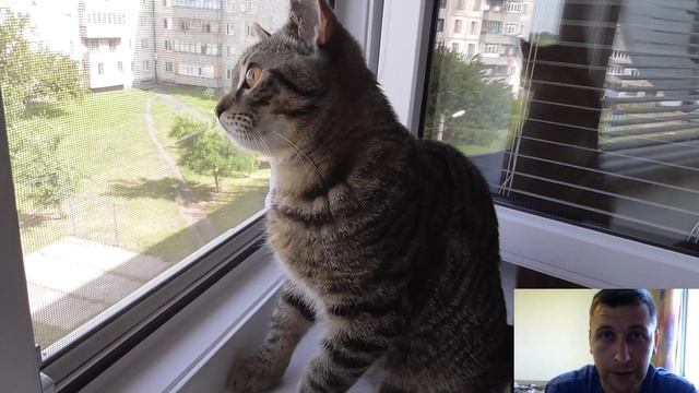 Как относиться к критике на ютубе смотреть онлайн