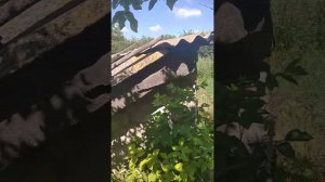 Продается усадьба, каменный дом 4 комнаты, летняя кухня, сарай, гараж, погреб, участок 70 соток