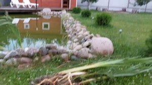 БиоПлато на минималках, высаживаем растения в щебень в ящики