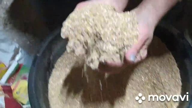 комбикорм| для несушки| своими руками|
