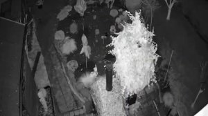 TP-Link VIGI C540-W - nagrania