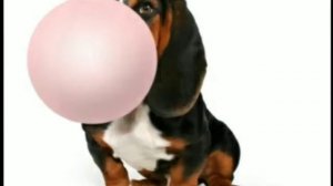 Туц ту туц мышка сосиска