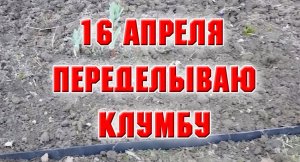 16 апреля. Переделываю клумбу.mp4