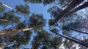 Райский уголок в 50 км. от дома.