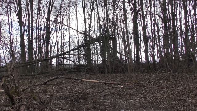 «Прогулка вокруг поселка Первомайское»: «Линнамяки (Старая крепость)» смотреть онлайн