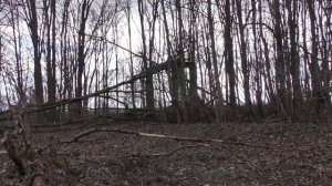 «Прогулка вокруг поселка Первомайское»: «Линнамяки (Старая крепость)»