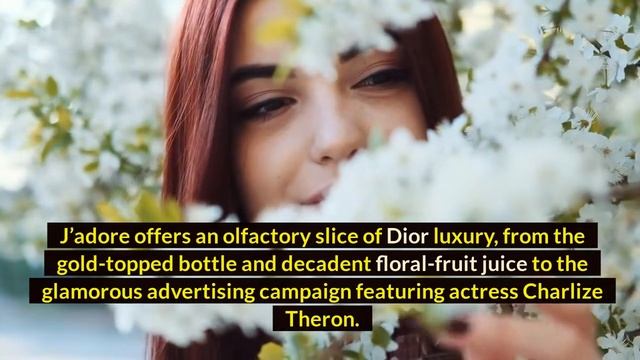 Top 10 best Perfumes for women in the world смотреть онлайн