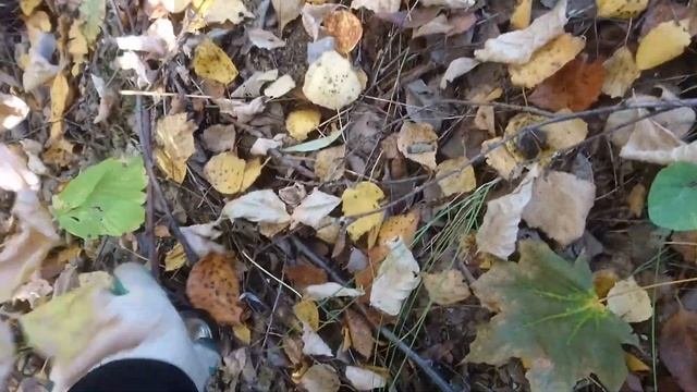 ПОИСК МЕТАЛЛОЛОМА БЕЗ МЕТАЛЛОИСКАТЕЛЯ НА ЛЕГКЕ! ЗАЕХАЛ НА ПРОМЗОНУ.