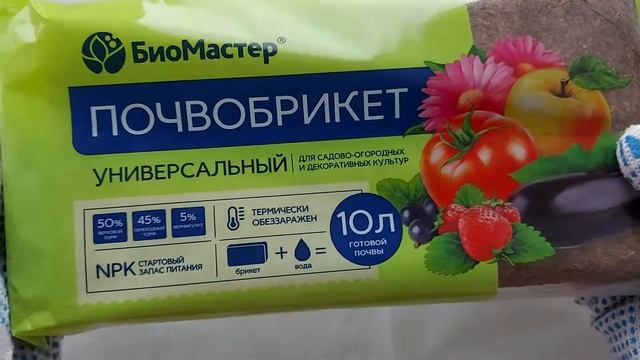 Почвобрикеты для пересадки комнатных растений