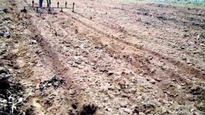 Начертание рядов МАРКЕРОМ для посадки картофеля