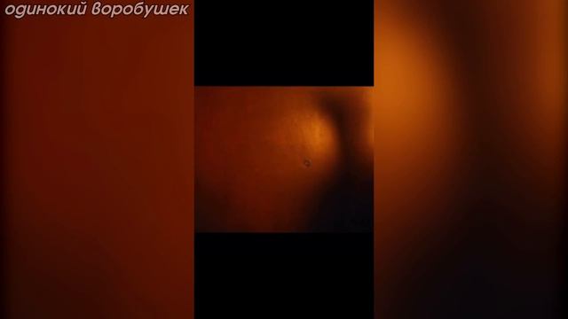 тик ток это лава смотреть онлайн