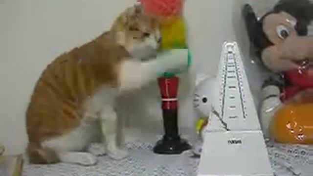 Kitty Miso playing metronome смотреть онлайн