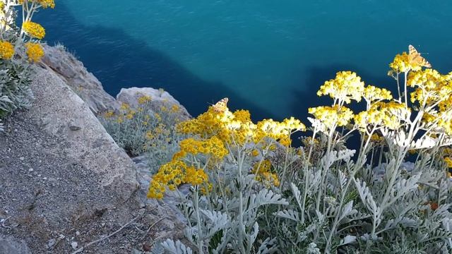 Крым. Отдых на море. Ялта, Ласточкино гнездо