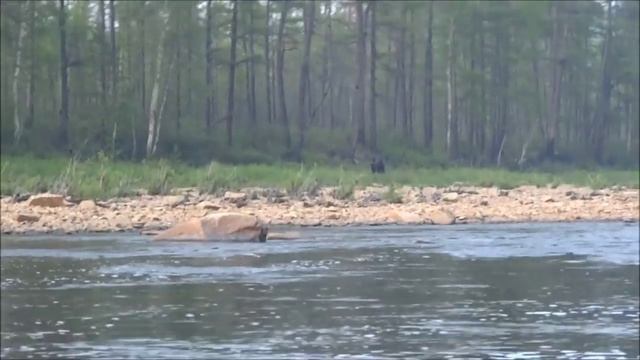 1 Река Утугай и Зейское водохранилище 2015