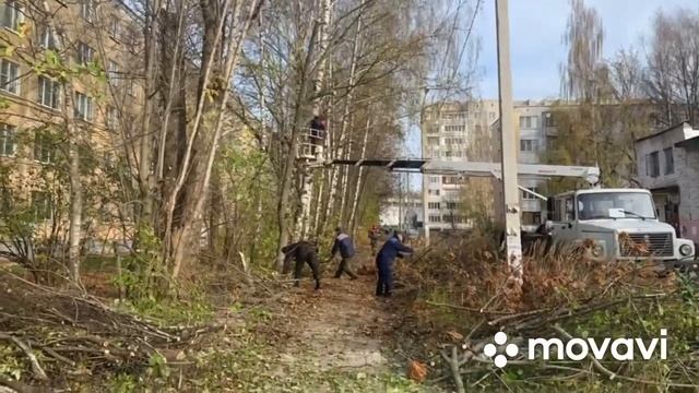 Кострома. Округ 23. Обрезка деревьев смотреть онлайн