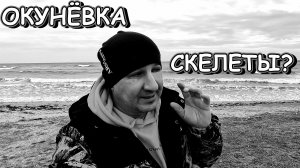 Западный Крым сегодня и село Окунёвка со своим песчаным пляжем ну и ЧТО со СКЕЛЕТАМИ на берегу?