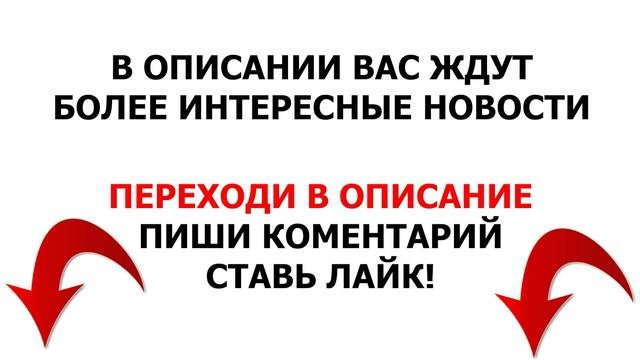 Срочно В Выпуск: Что Сказали Про Военное Положение В Госдуме?