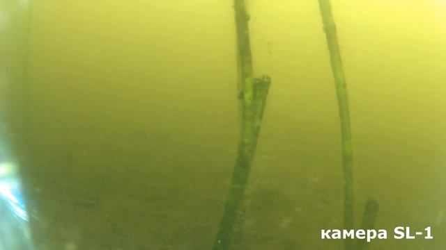 Существует ли устимский сом?! //Правда или миф?// ищем 3-х метрового гиганта смотреть онлайн