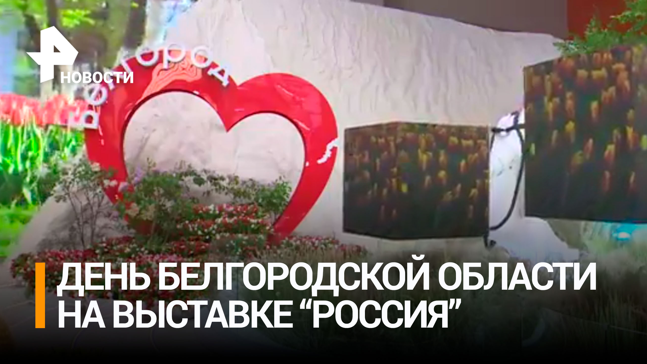 День Белгородской области проходит на выставке "Россия"